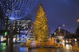 Montreuil | Sapin de Noël