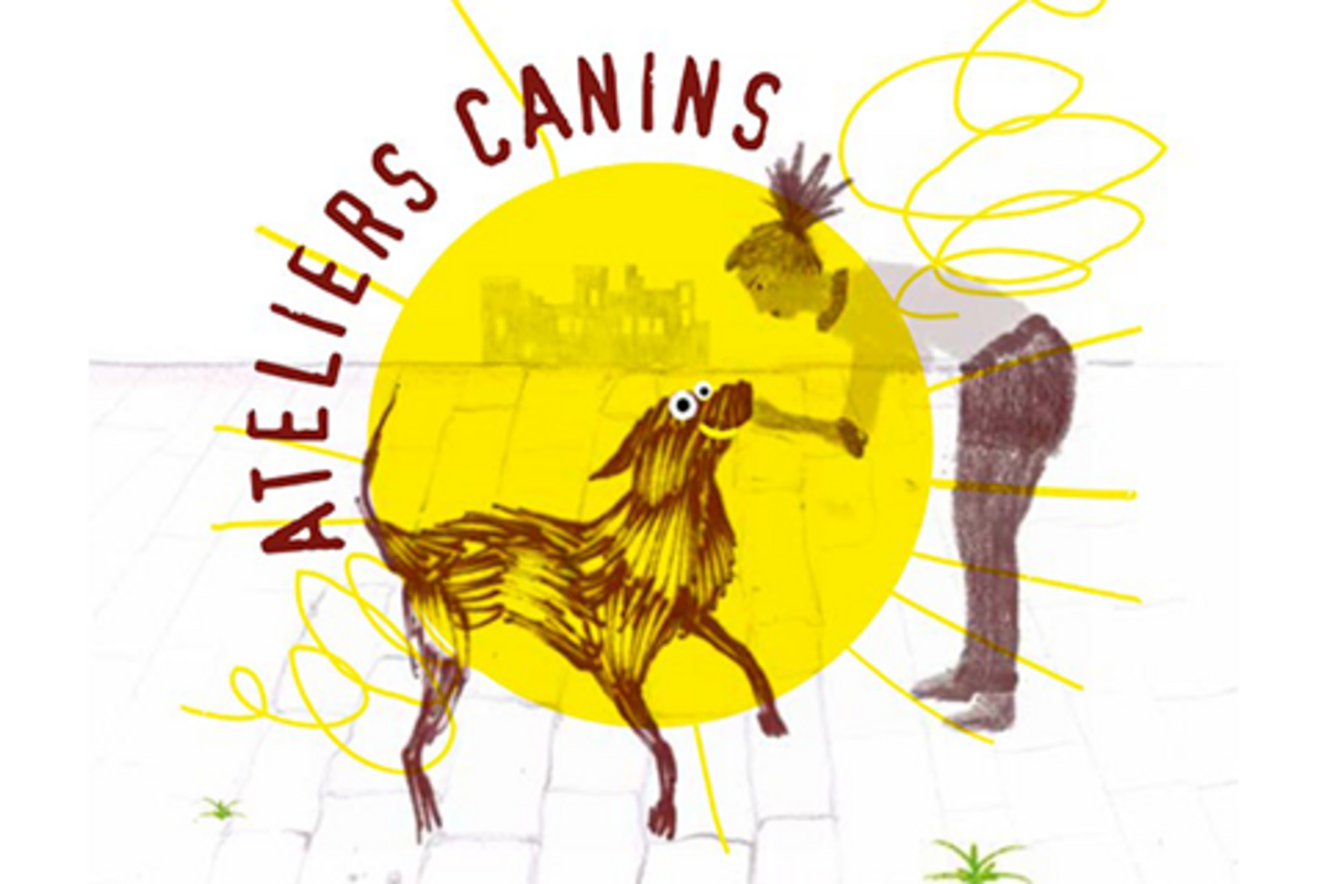 Ateliers canins, bien vivre en ville avec son animal