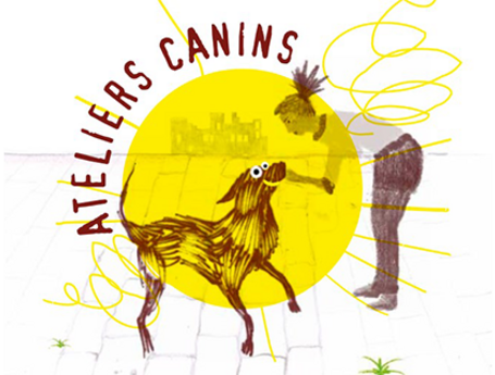 Ateliers canins, bien vivre en ville avec son animal