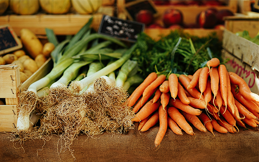 Montreuil installe son Conseil local de l'alimentation pour dynamiser sa stratégie alimentaire