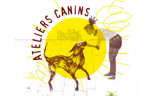 Ateliers canins, bien vivre en ville avec son animal