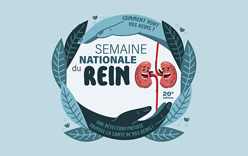 Semaine nationale du rein : faites- vous dépister !