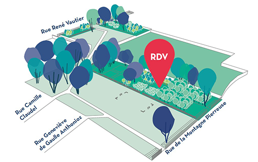 Trois ans après leur plantation, arbres et arbustes de la Pépinière des Hauteurs de Montreuil, transplantés dans l'espace public